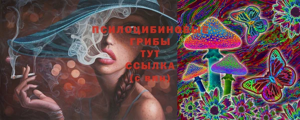 а пвп мука Козловка