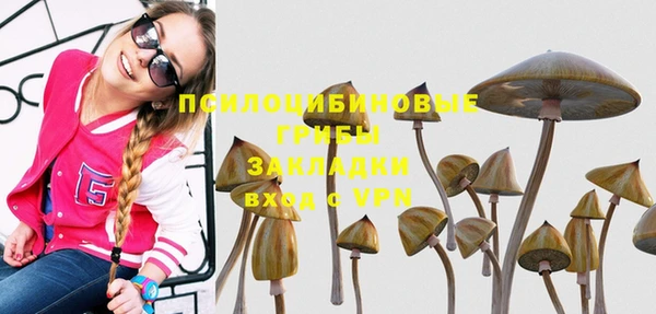 мет Козельск