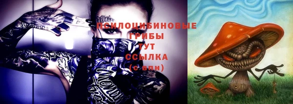 а пвп мука Козловка