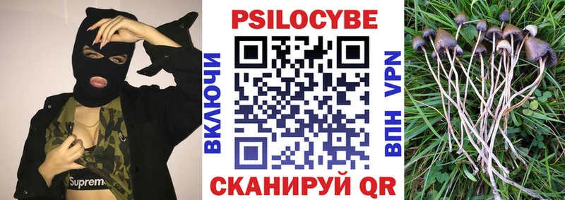 Галлюциногенные грибы мухоморы Дудинка