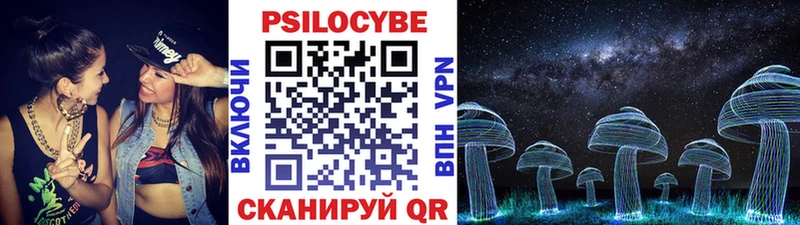 Купить закладки  Дудинка  Галлюциногенные грибы MAGIC MUSHROOMS 